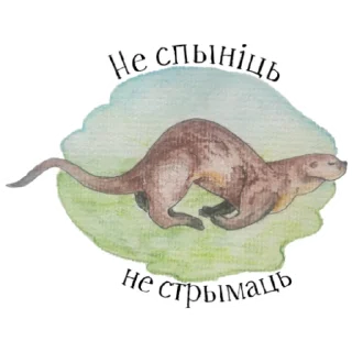 🏃 emoji Otters of Belarus Telegram sticker 7 of 26