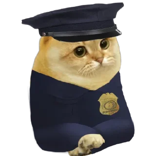 🫵 emoji Cate The Cat Telegram sticker 23 of 58