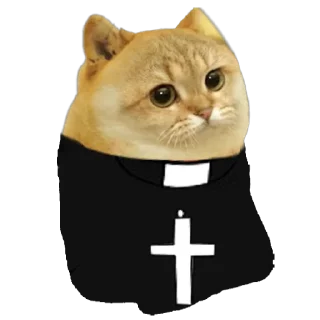 🙏 emoji Cate The Cat Telegram sticker 9 of 58