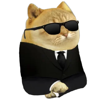 😎 emoji Cate The Cat Telegram sticker 15 of 58