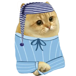 😴 emoji Cate The Cat Telegram sticker 5 of 58