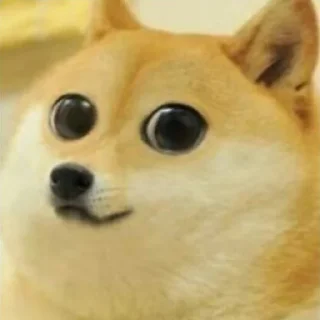 🥺 emoji doge Telegram sticker 24 of 27