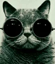 😎 emoji 9gag Telegram sticker 9 of 70