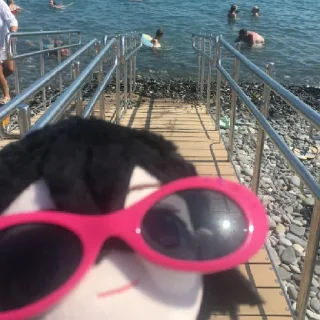 🏖️ emoji Дос-кун и Гоголь 🪄 Telegram sticker 11 of 55