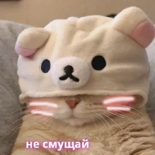 🤡 emoji У меня нет проблем Telegram sticker 6 of 97