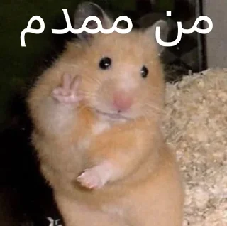 😐 emoji ممد کوچولو ها🐹 Telegram sticker 7 of 99
