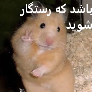 😐 emoji ممد کوچولو ها🐹 Telegram sticker 12 of 99