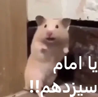 🤯 emoji ممد کوچولو ها🐹 Telegram sticker 21 of 99