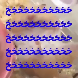 😂 emoji ممد کوچولو ها🐹 Telegram sticker 19 of 99