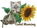 ⌚ emoji ✨ @LoveoopS✨ : Good morning 2 Telegram sticker 15 of 107