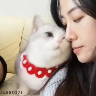 Sticker from @radio_eteraf1به کانال ما سربزنید😁