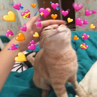Sticker from Wholesome Cats