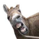 😀 emoji Barzo Strike Telegram sticker 5 of 120
