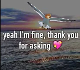 🙈 emoji good morning thank you how are you too Telegram sticker 15 of 30