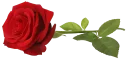 🌹 emoji @Loveoops_art : Flowers2 Telegram sticker 3 of 120