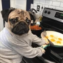 🍳 emoji Pug =)) @pistolwhip Telegram sticker 24 of 79