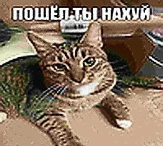 🌟 emoji ну всє пізда @atdawn11 Telegram sticker 16 of 81