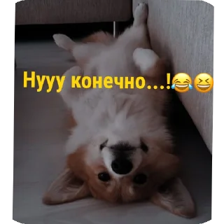 🐱 emoji Для друзей Telegram sticker 21 of 36