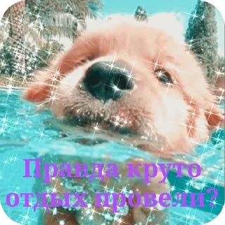 🏊 emoji Для друзей Telegram sticker 7 of 36