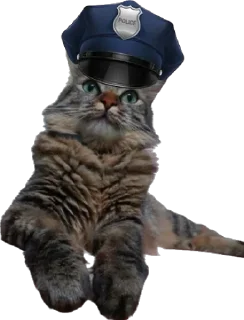 👮‍♀ emoji Chupa Telegram sticker 23 of 35