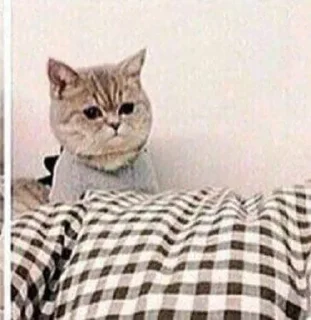 Sticker from Mood : the third