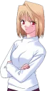 Sticker from Tsukihime