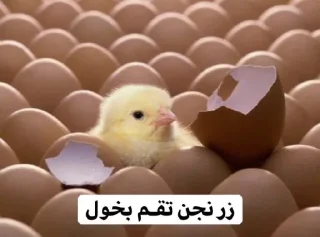 😂 emoji So🌸asl🐣 Telegram sticker 11 of 91