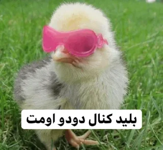 😎 emoji So🌸asl🐣 Telegram sticker 12 of 91
