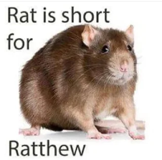 🐀 emoji Take this rat! Telegram sticker 6 of 30