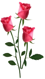 💐 emoji Flowers >> @Stickerabad Telegram sticker 7 of 71