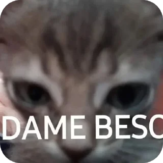 👍 emoji Stickers del chaval 3.0 Telegram sticker 8 of 75