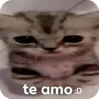 👍 emoji Stickers del chaval 3.0 Telegram sticker 9 of 75