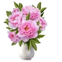 🌺 emoji @stickerkar  👈استیکر های بیشتر در Telegram sticker 8 of 107