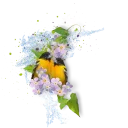 🌺 emoji @stickerkar  👈استیکر های بیشتر در Telegram sticker 15 of 107