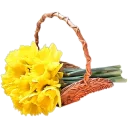 🌺 emoji @stickerkar  👈استیکر های بیشتر در Telegram sticker 12 of 107