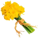 🌺 emoji @stickerkar  👈استیکر های بیشتر در Telegram sticker 13 of 107