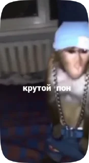 💸 emoji Обезьянки поны 5 Telegram sticker 15 of 17