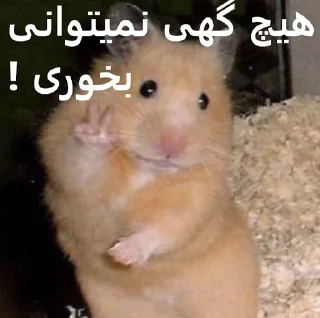 😐 emoji ممد کوچولو ها🐹 Telegram sticker 8 of 99