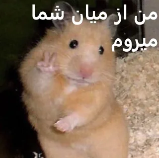 😐 emoji ممد کوچولو ها🐹 Telegram sticker 11 of 99