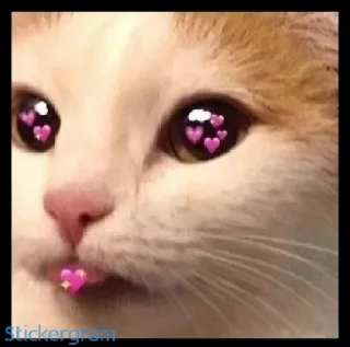 💜 emoji ما عندي اسم 👀❤️ Telegram sticker 17 of 120