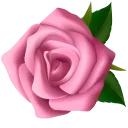 🌹 emoji @Loveoops_art : Flowers2 Telegram sticker 11 of 120