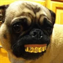 😎 emoji Pug =)) @pistolwhip Telegram sticker 10 of 79