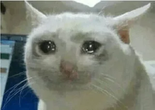 Sticker from Sad cat @sticker_memes