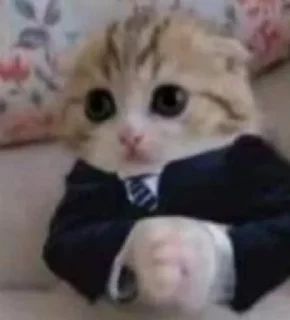 🕴️ emoji @RTG55 عمكم Telegram sticker 20 of 114