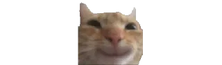 🌟 emoji @RTG55 عمكم Telegram sticker 1 of 114