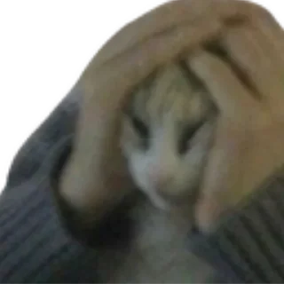 😱 emoji личные стикеры Айвена Telegram sticker 11 of 116