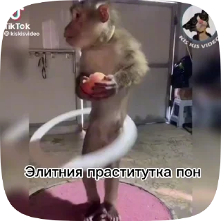 💸 emoji Обезьянки поны 5 Telegram sticker 11 of 17