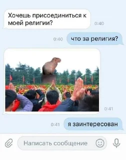 🌟 emoji Капибары :: @IbremMiner837 Telegram sticker 14 of 26
