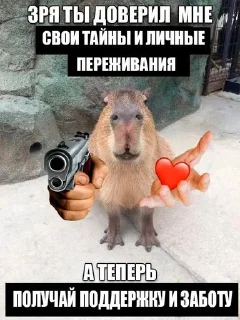 🌟 emoji Капибары :: @IbremMiner837 Telegram sticker 20 of 26