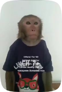 🇲🇩 emoji Обезьянки поны 7 Telegram sticker 23 of 39